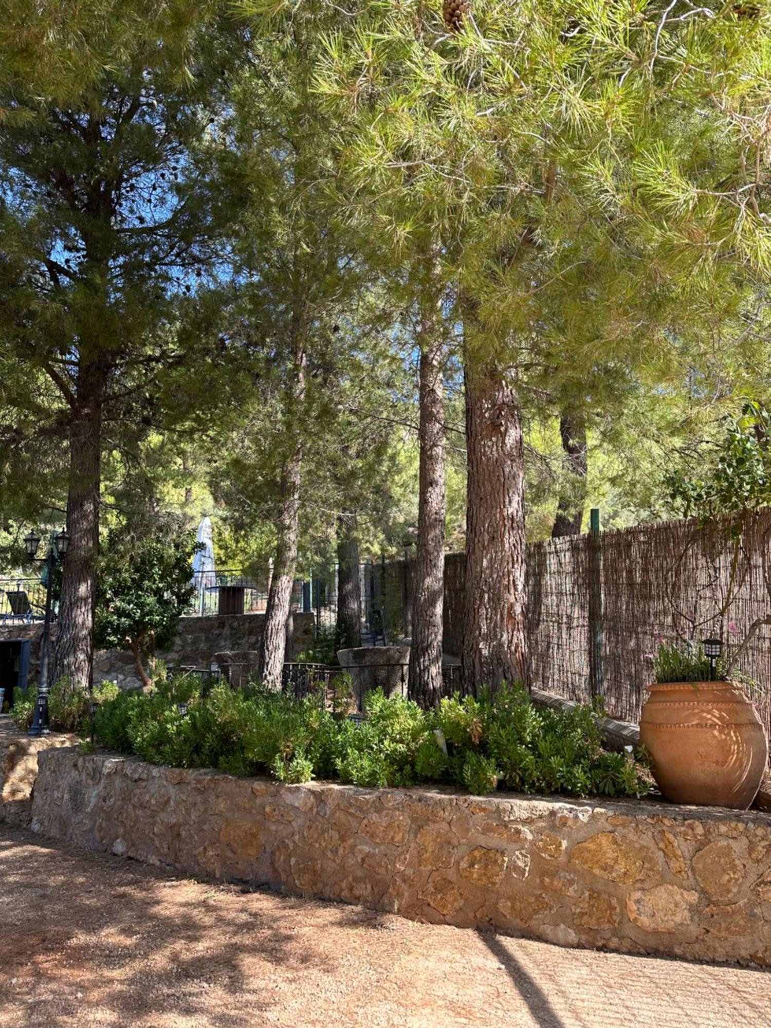 Casas Rurales Cerro Lobo 예스테 외부 사진