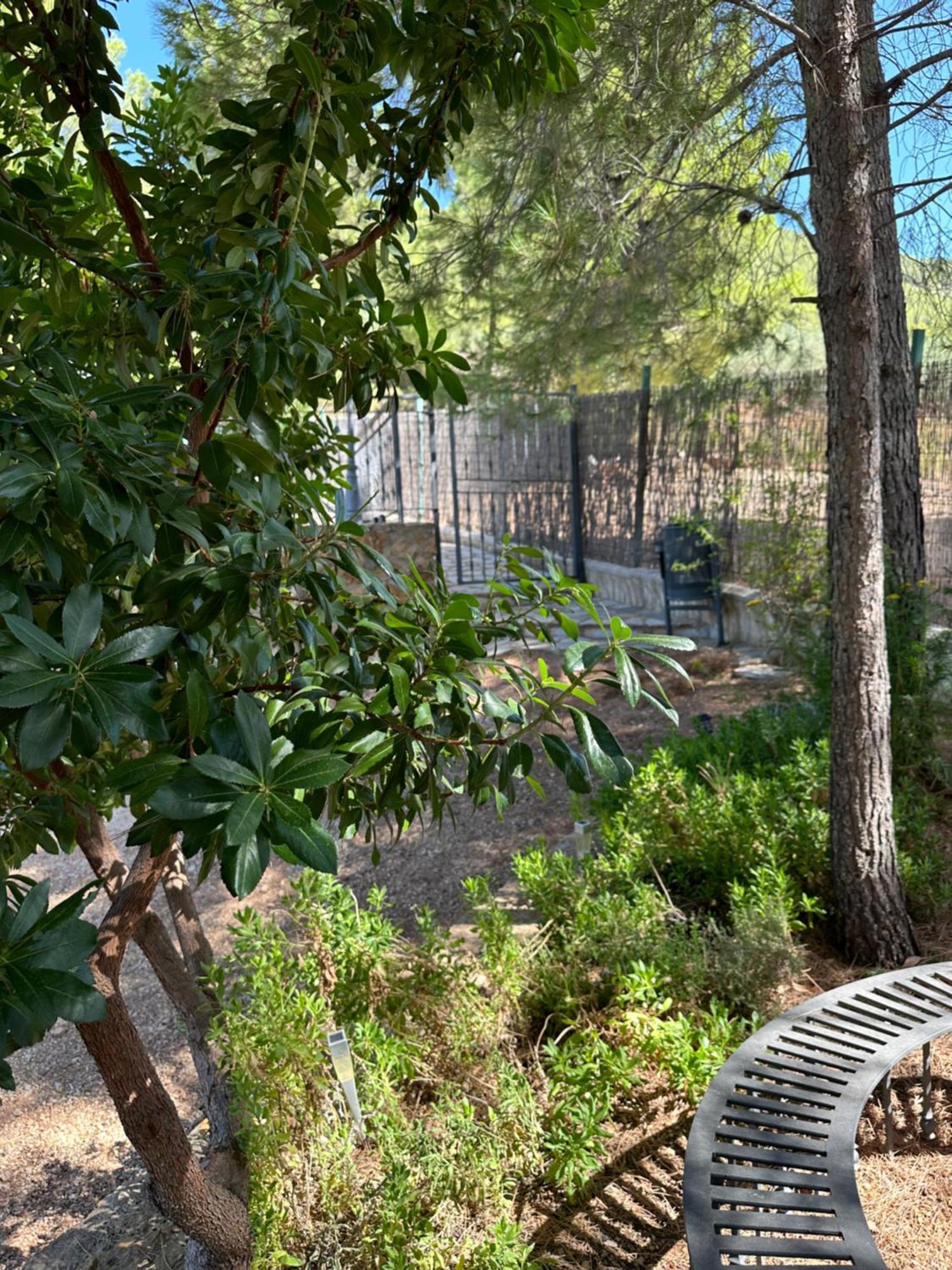 Casas Rurales Cerro Lobo 예스테 외부 사진