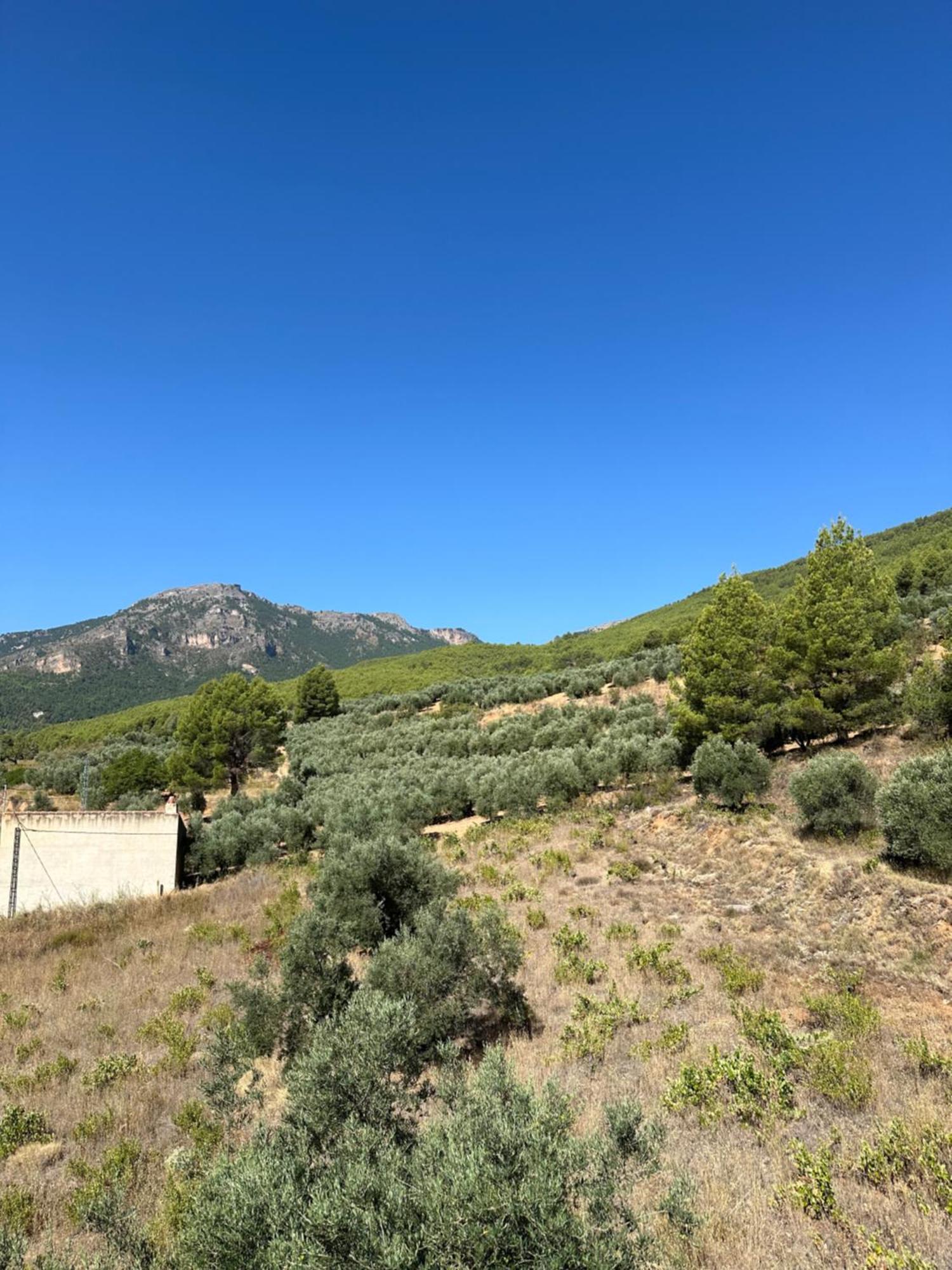 Casas Rurales Cerro Lobo 예스테 외부 사진